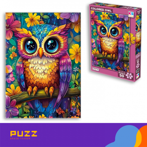 50 დეტალიანი ფაზლი - ფერადი ბუ